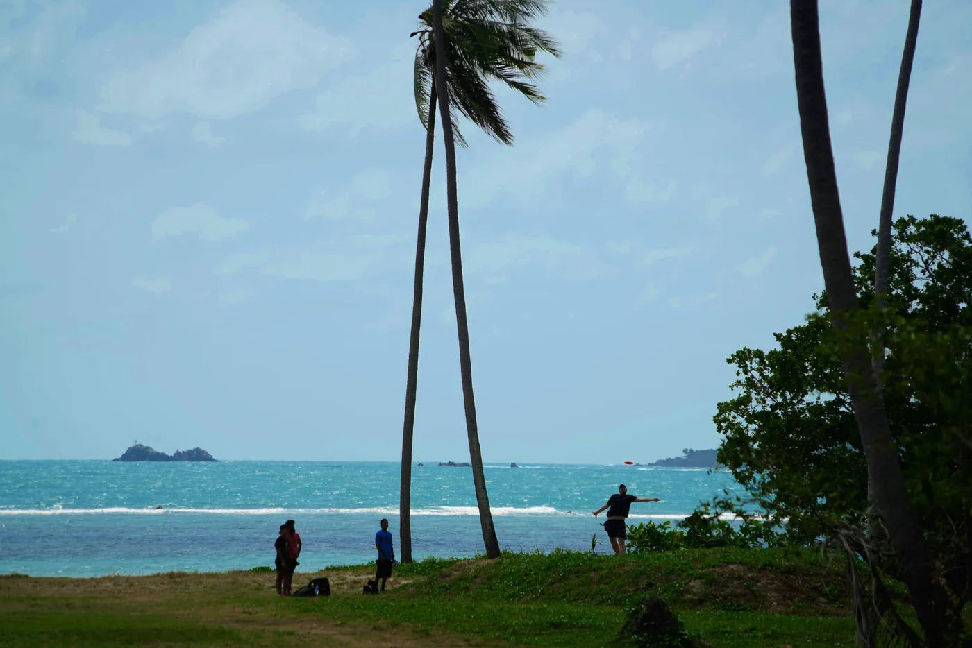 Coconut palms framing the sea and a distant island from the course