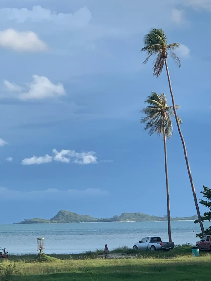 A tall coconut palm leaning over the sea beside the course