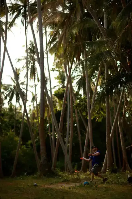 A player throws through a stand of tall palms