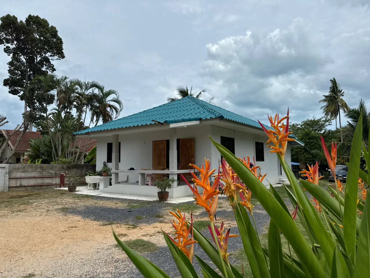 The guesthouse with its teal roof, surrounded by palms and bird-of-paradise flowers